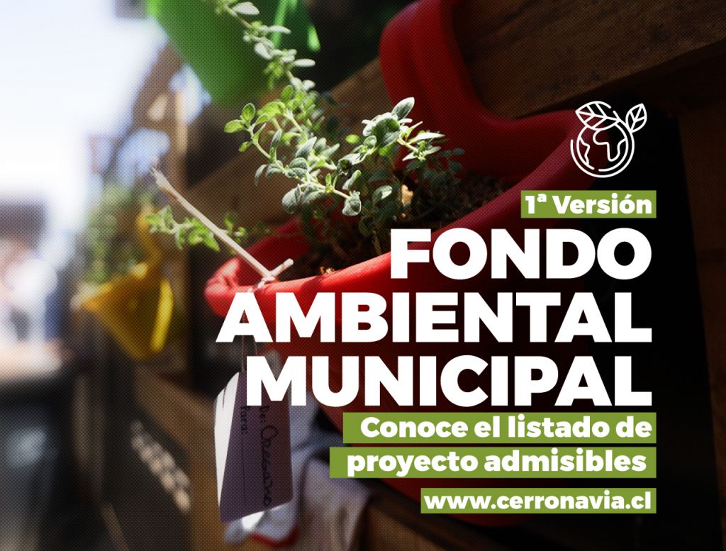 Fondo Ambiental Municipal Cerro Navia