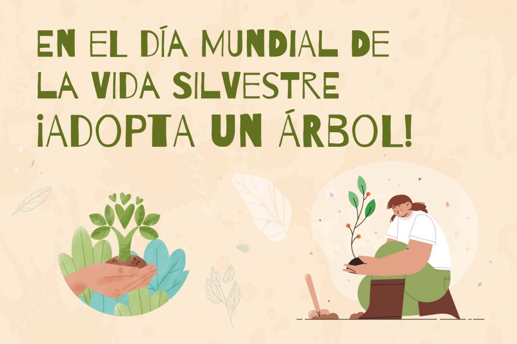 En el Día Mundial de la Vida Silvestre ¡Adopta un árbol!