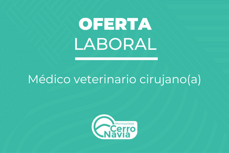 Oferta laboral para proveer cargo de Médico veterinario cirujano(a) Municipalidad Cerro Navia