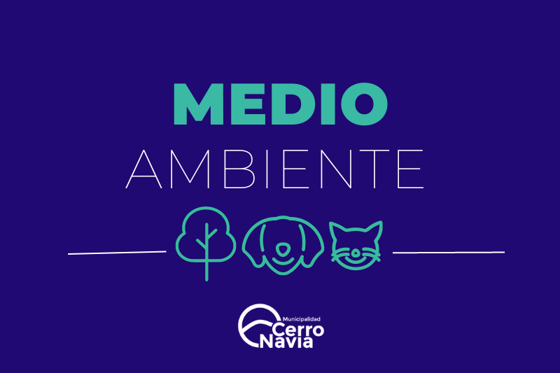 Medio ambiente