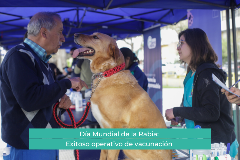 Día Mundial de la Rabia: Exitoso operativo de vacunación en animales de compañía