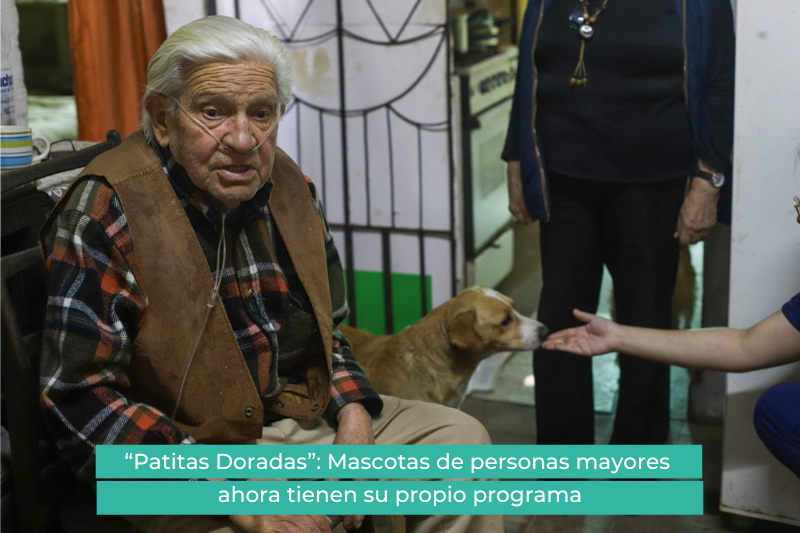 “Patitas doradas”: Mascotas de personas mayores ahora tienen su propio programa