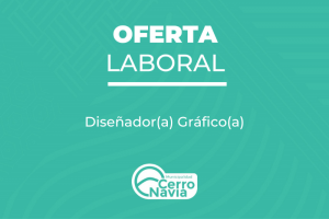 Diseñador(a) Gráfico(a)