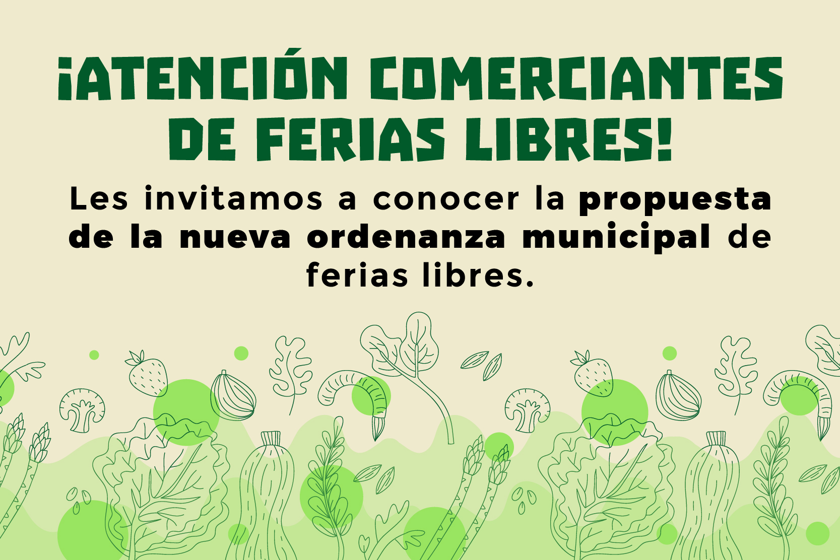 Nueva ordenanza Municipal de Ferias Libres