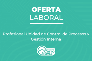 Profesional Unidad de Control de Procesos y Gestión Interna
