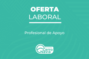Profesional de Apoyo