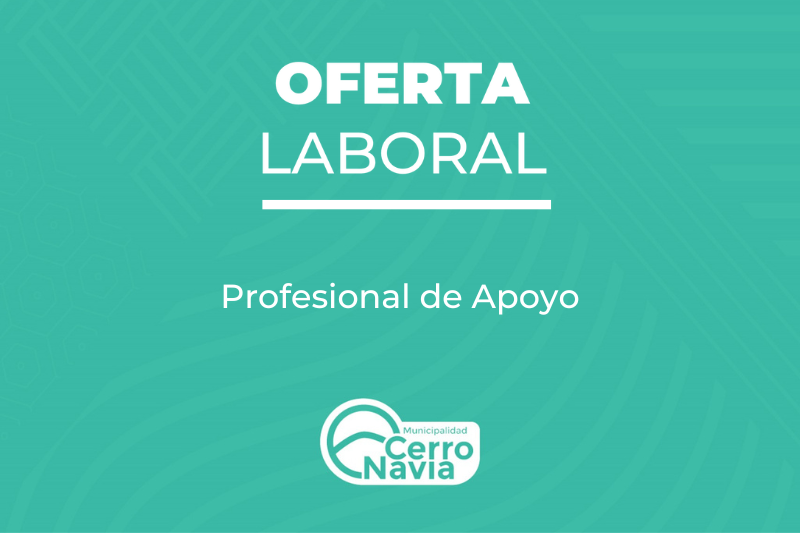 Profesional de Apoyo