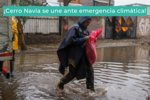 Alcalde Emergencia Climática