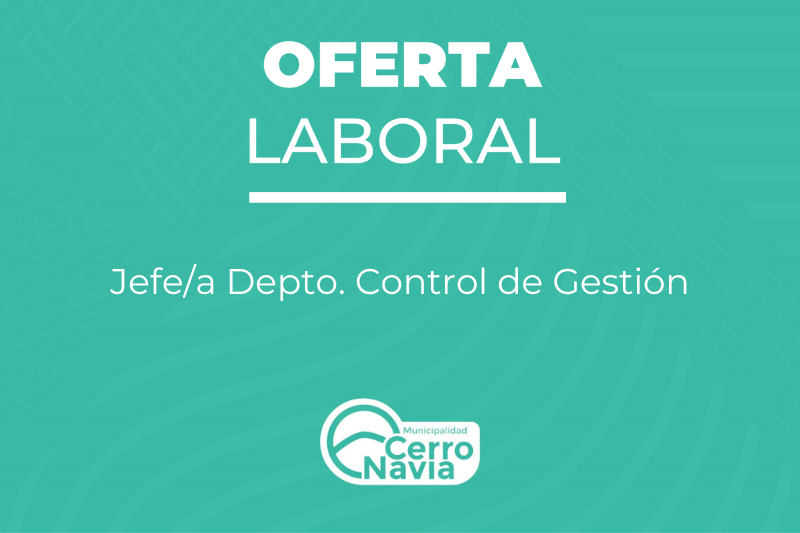 Jefe/a Depto. Control de Gestión