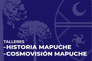 ID talleres mapuches