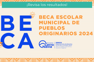 Resultados Beca Pueblos Originarios 2024