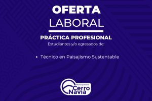 Práctica profesional