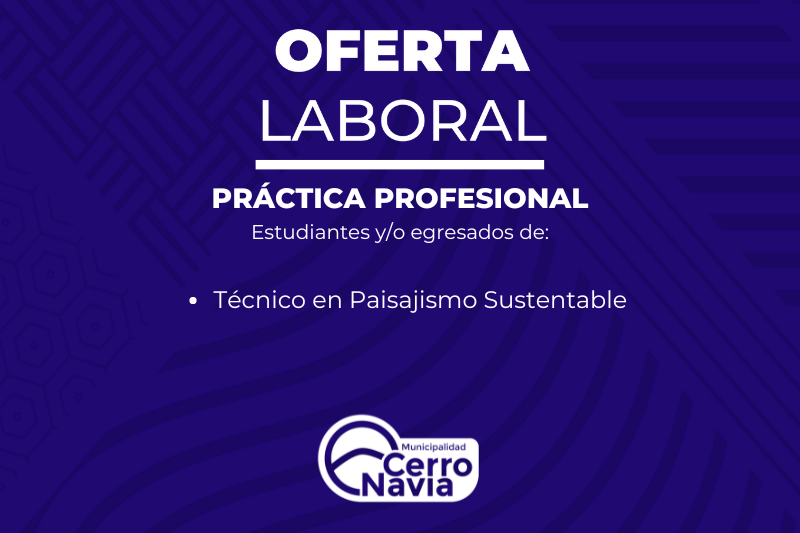 Práctica profesional