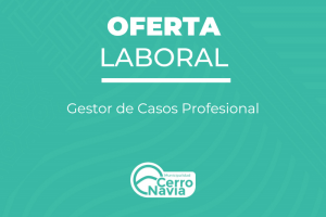 Gestor de Casos Profesional