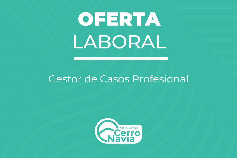 Gestor de Casos Profesional
