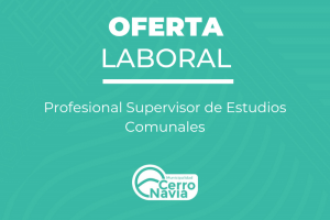 Profesional Supervisor de Estudios Comunales