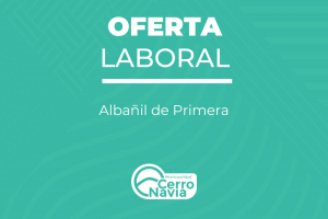 Albañil de Primera