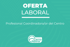 Profesional Coordinadora/or del Centro