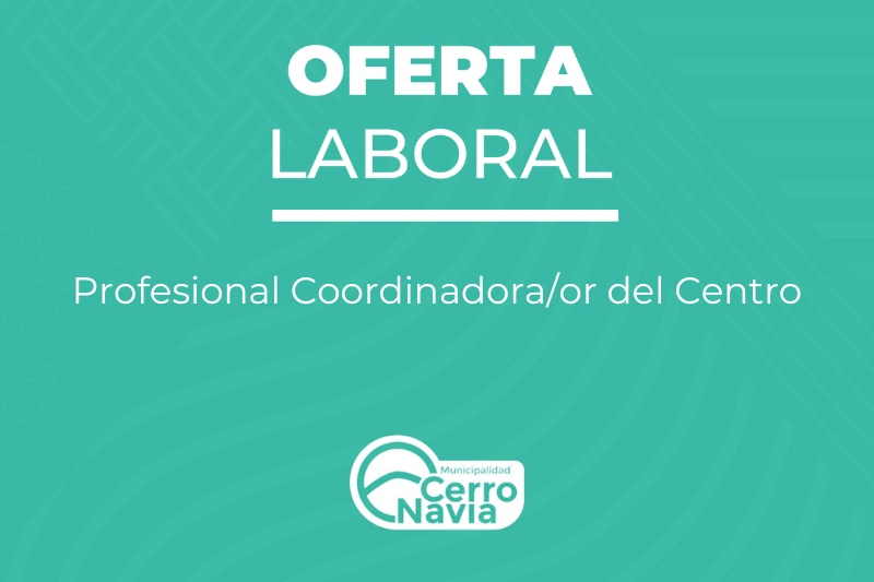 Profesional Coordinadora/or del Centro