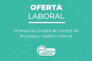 Profesional Unidad de Control de Procesos y Gestión Interna