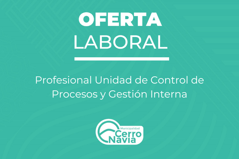 Profesional Unidad de Control de Procesos y Gestión Interna