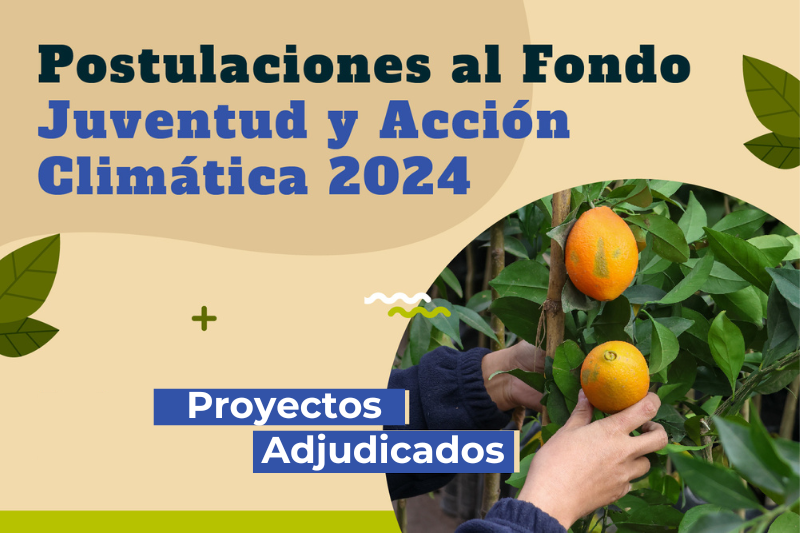 Proyectos Adjudicados