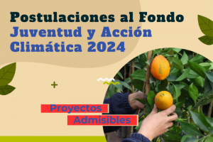 ¡Proyectos Admisibles Fondo Juventud y Acción Climática 2024!