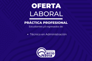 Técnico en Administración
