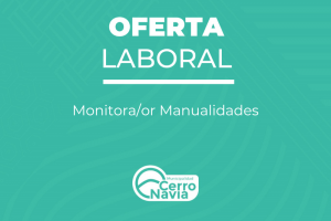 Oferta Monitora/or Manualidades