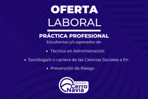 Prácticas Profesionales
