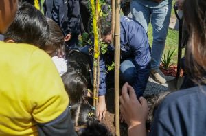 ¡Cerro Navia planta el árbol 10 mil!