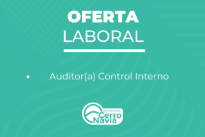 Oferta Auditor interno