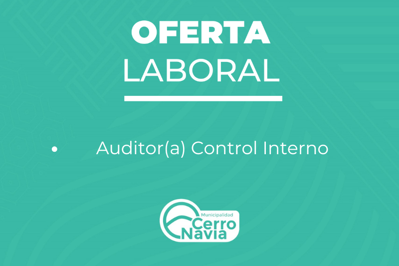 Oferta Auditor interno