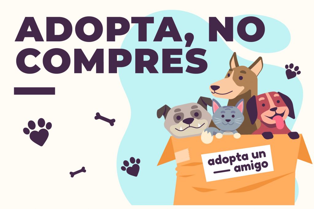 Adopta, No Compres