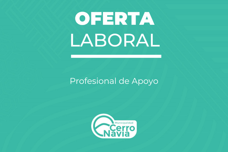 Profesional de apoyo