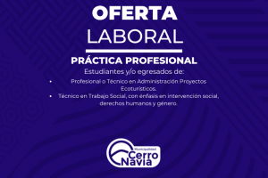 Prácticas Profesionales